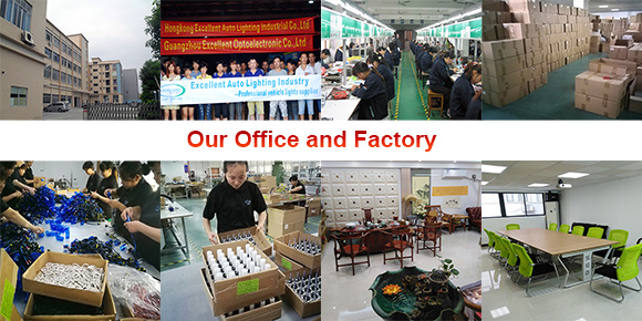 10 Years Professional Manufacturer And Oem Solution Provider